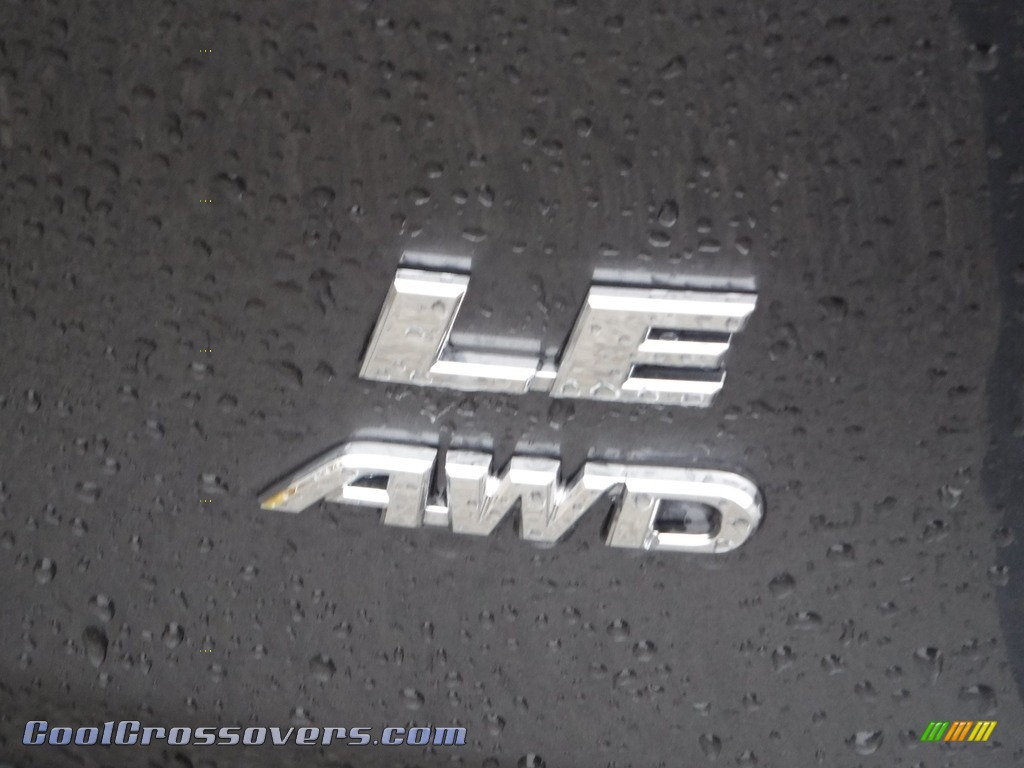 2019 RAV4 LE AWD - Magnetic Gray Metallic / Black photo #16
