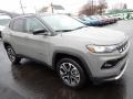 Jeep Compass Limited 4x4 Sting Gray photo #8