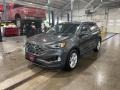 Ford Edge SEL AWD Magnetic photo #1