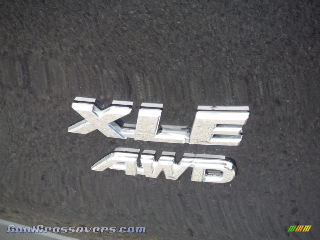 2019 RAV4 XLE AWD - Blueprint / Black photo #19