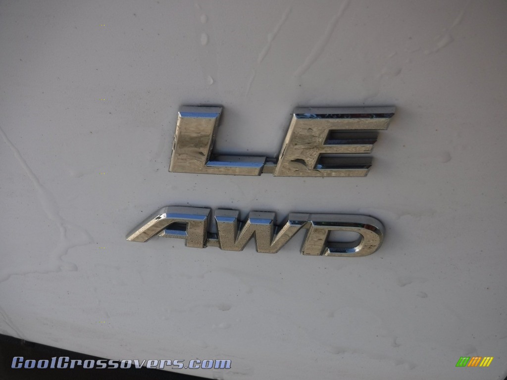 2019 RAV4 LE AWD - Super White / Nutmeg photo #17