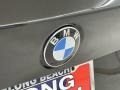 BMW X1 sDrive28i Dark Olive Metallic photo #9