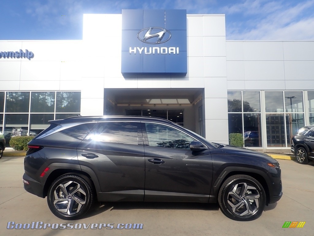 Portofino Gray / Black Hyundai Tucson Limited AWD