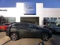 Hyundai Tucson SEL Convenience Hybrid AWD Amazon Gray photo #1