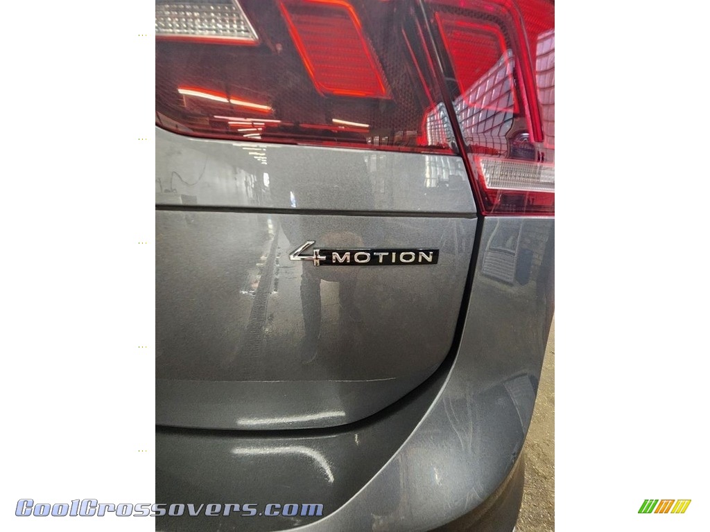 2022 Tiguan SE 4Motion - Platinum Gray Metallic / Cinnamon photo #14