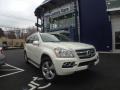 Mercedes-Benz GL 450 4Matic Arctic White photo #1 Mercedes-Benz GL 450 4Matic Arctic White photo #1
