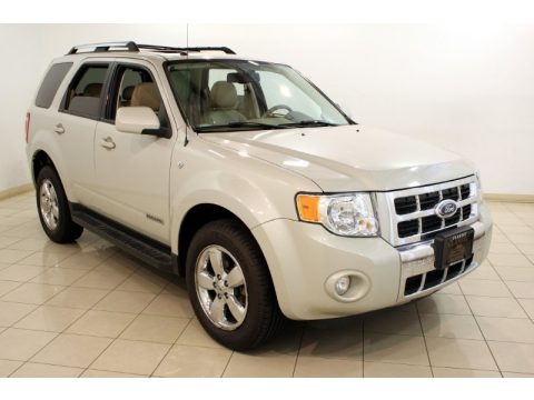 Light Sage Metallic 2008 Ford Escape Limited 4WD Light Sage Metallic 2008 Ford Escape Limited 4WD