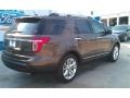 Ford Explorer Limited Caribou photo #46